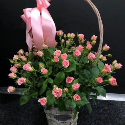 Корзины и коробки с кустовыми розами