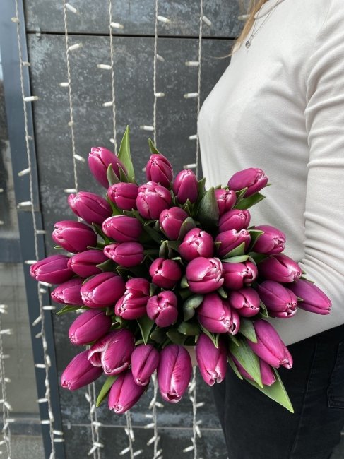 Тюльпан Сиренево-белый