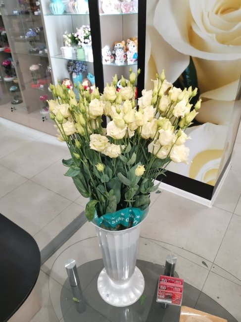 Эустома лимонная