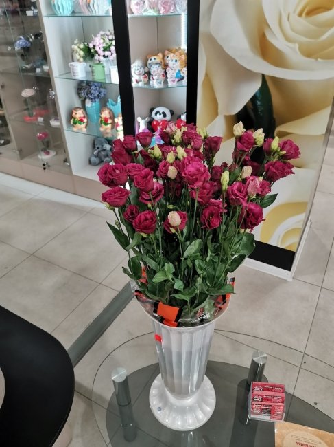 Эустома малиновая