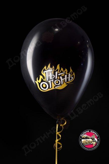 Шар Ты огонь и можешь все.