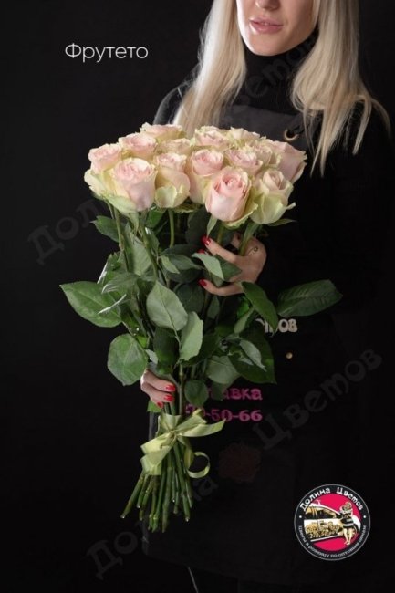 Розы Фрутето  (высота  50см)