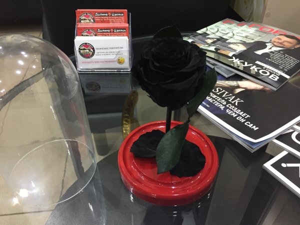 Роза в колбе черная