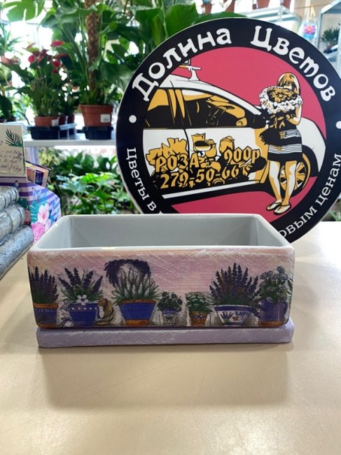 Вазон «Кактусник», 24*12*9 см