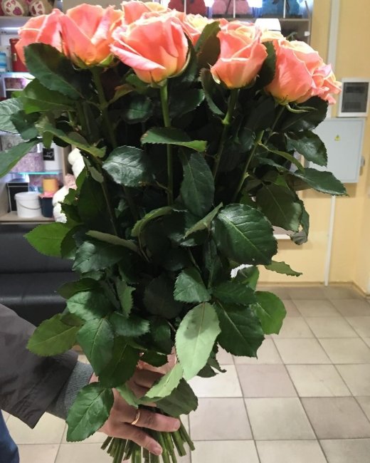 Роза Мисс Пигги (розово-желтая). Букет из 41 розы. Высота 70 см