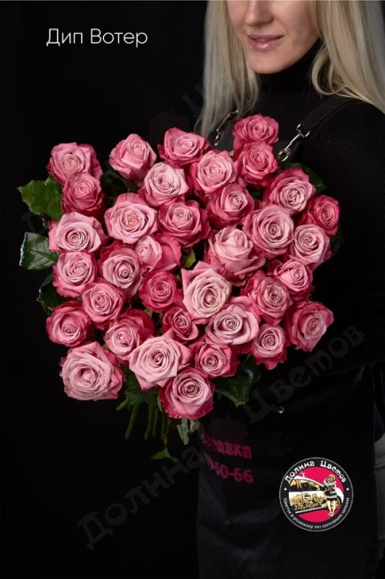 Букет из Розы Дип Вотер  (высота  50см)