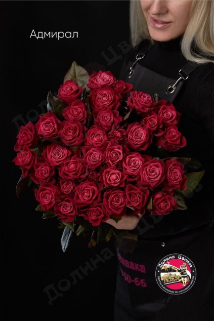 Букет из Розы Адмирал  (высота  60см)