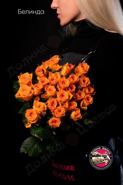 Букет из Розы Белинда  (высота  50см)
