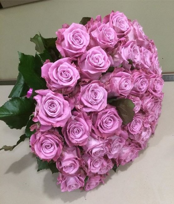 Роза Маритим. Букет из 101 розы. Высота 50 см