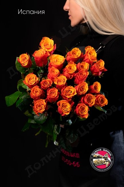 Букет из Розы Испания  (высота  50см)