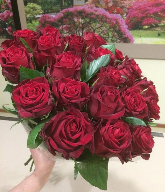 Роза Кон Аморе. Букет из 21 розы. Высота 60 см