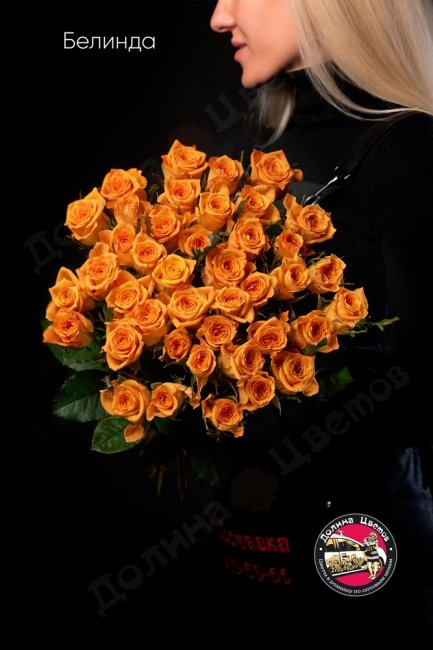 Букет из Розы Белинда  (высота  60см)