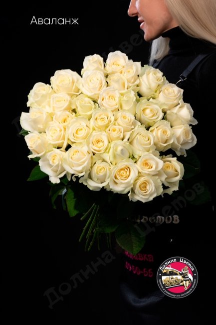 Букет из Розы Аваланж  (высота  50см)