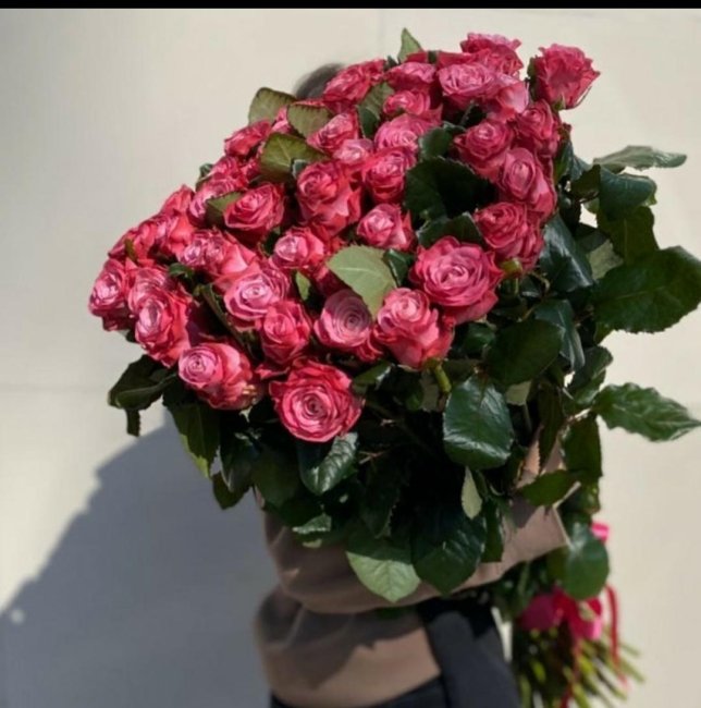 Роза Дип Вотер. Букет из 75 роз. Высота 50 см