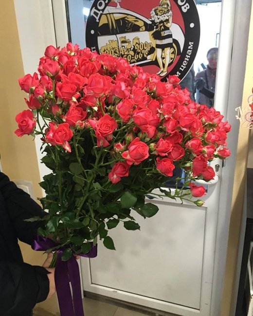 Роза Спрей Чери Хиопс. Букет из 25 роз. Высота 70 см