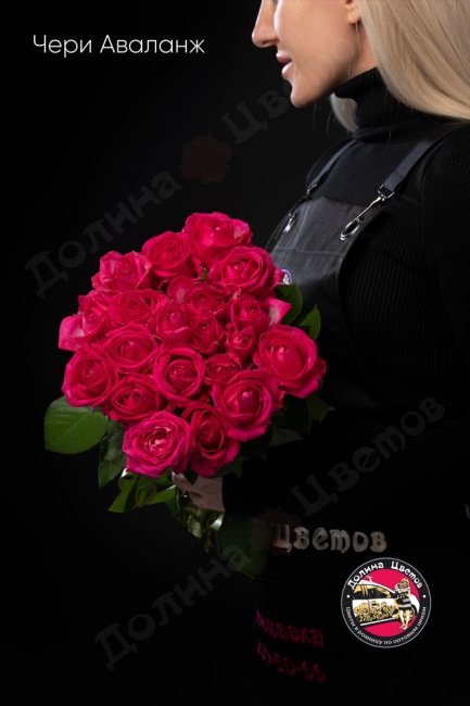Букет из Розы Чери Аваланж  (высота  40см)