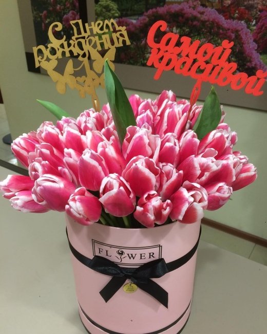 Букет из 51 тюльпана. красно-белый