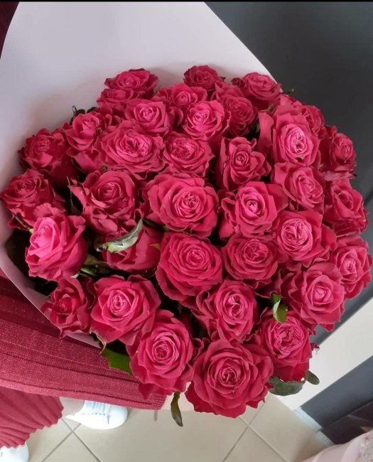 Роза Адмирал. Букет из 25 роз. Высота 60 см