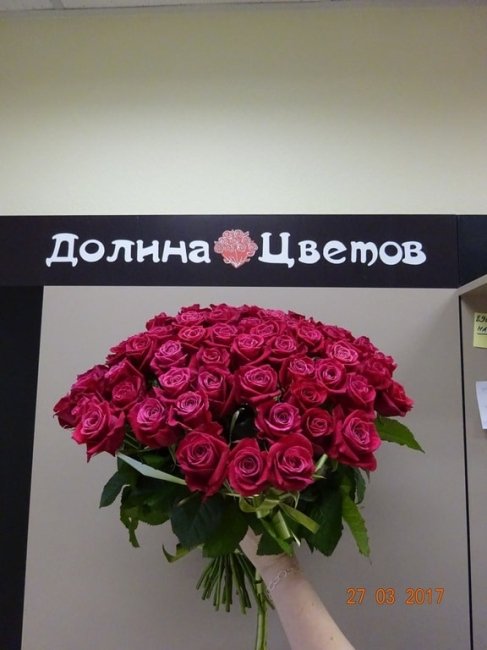 Роза Шангри Ла (розовая). Букет из 25 роз. Высота 50 см