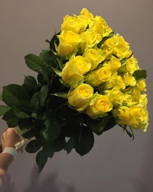 Роза Пени Лейн (желтая). Букет из 41 розы. Высота 70 см