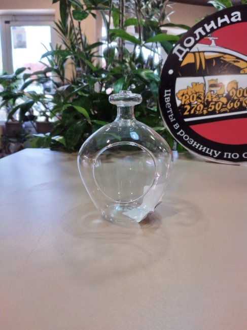 Флорариум «Баночка пузатая» 10*10*13 см