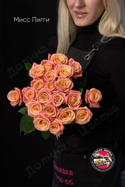 Букет из Розы Мисс Пигги  (высота  40см)