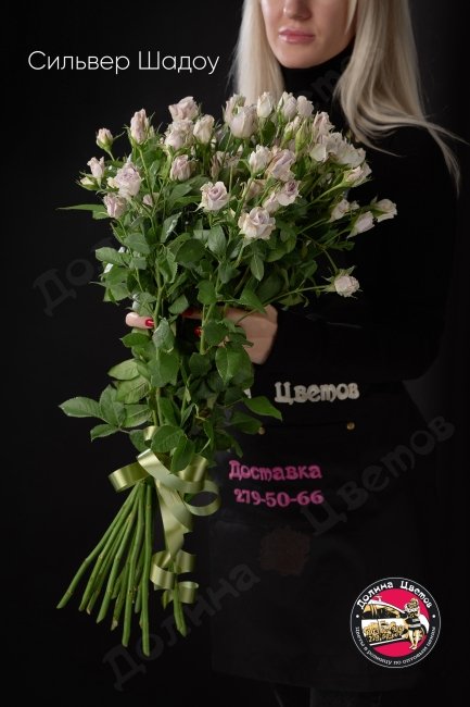 Розы Сильвер Шадоу  (высота  60см)