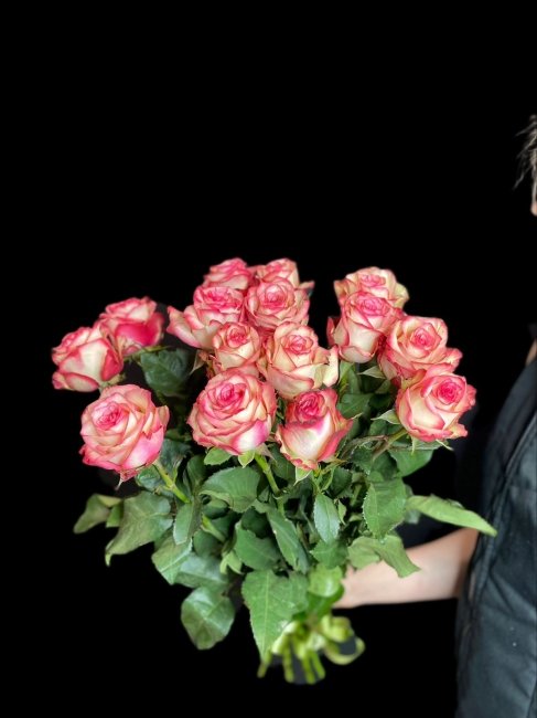 Розы Палома Кения  (высота  60см)