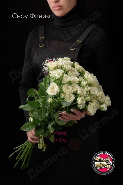 Розы Сноу Флейкс  (высота  50см)