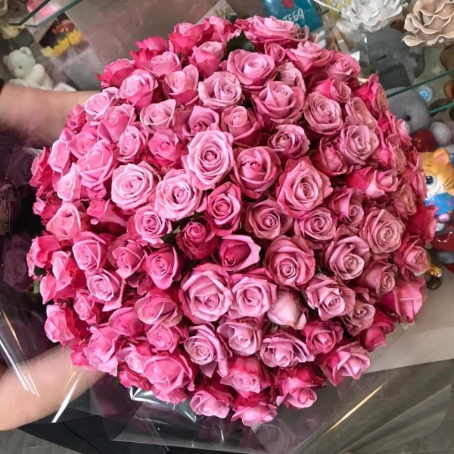 Роза Дип Вотер. Букет из 101 розы. Высота 50 см