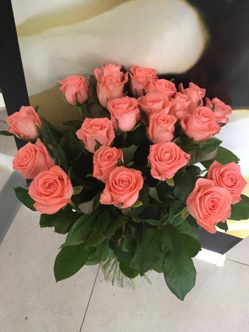 Роза Анна Карина. Букет из 25 роз. Высота 70 см