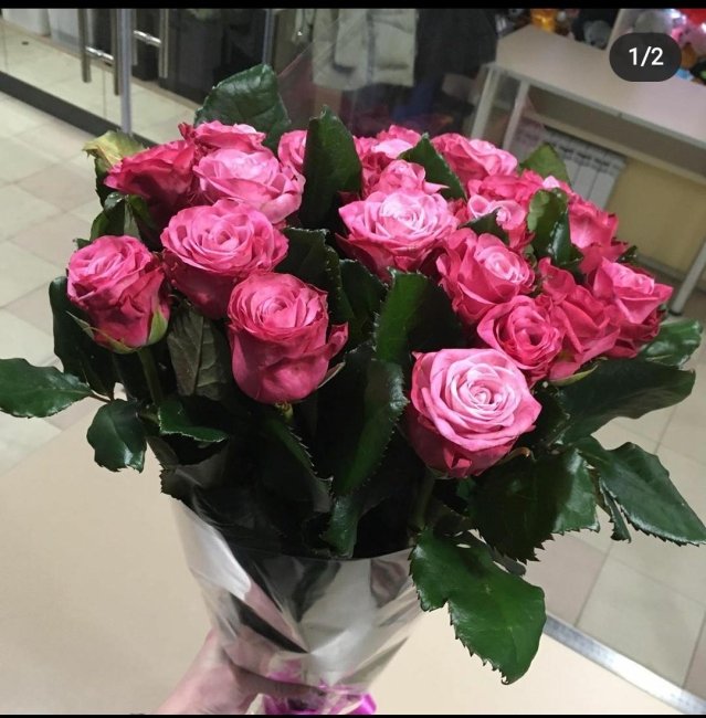 Роза Дип Вотер. Букет из 25 роз. Высота 40 см