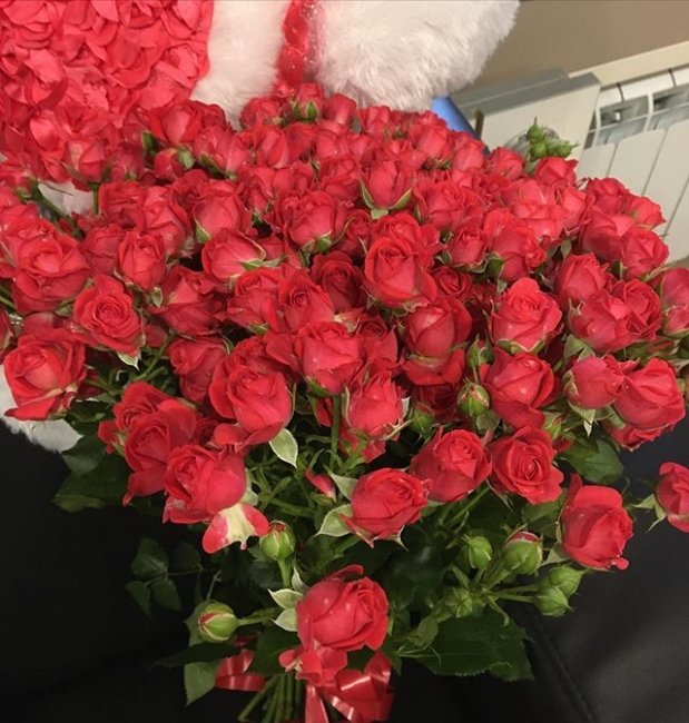 Роза Спрей Чери Хиопс. Букет из 41 розы. Высота 40 см