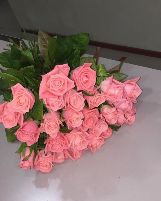 Роза Анна Карина. Букет из 25 роз. Высота 50 см