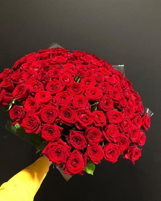 Роза Ред Наоми (красная). Букет из 101 розы. Высота 50 см